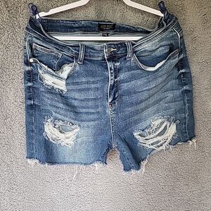 Judy Blue Jean Shorts Plus size Distressed Womens 2XL Blue Medium Wash Raw Hem